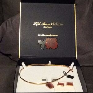 NWT 2pc earring & necklace set